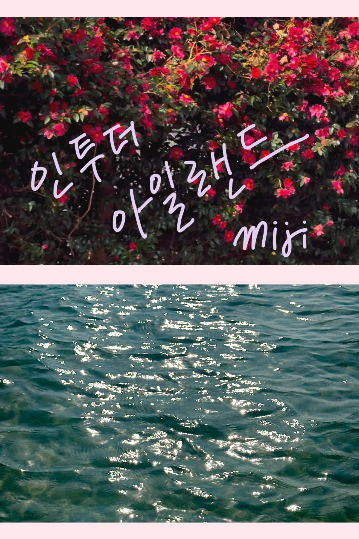 인투더 아일랜드