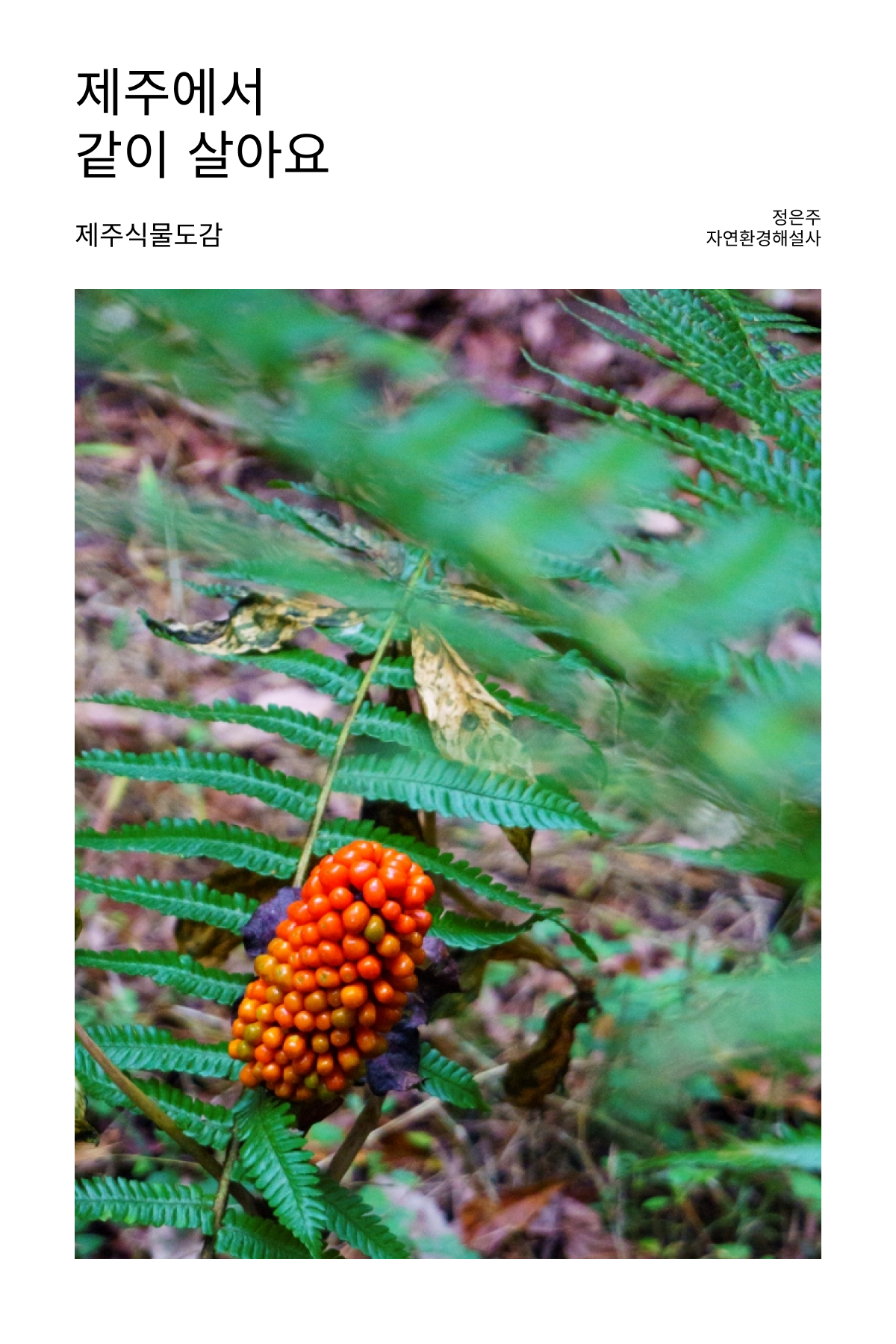 제주에서 같이 살아요