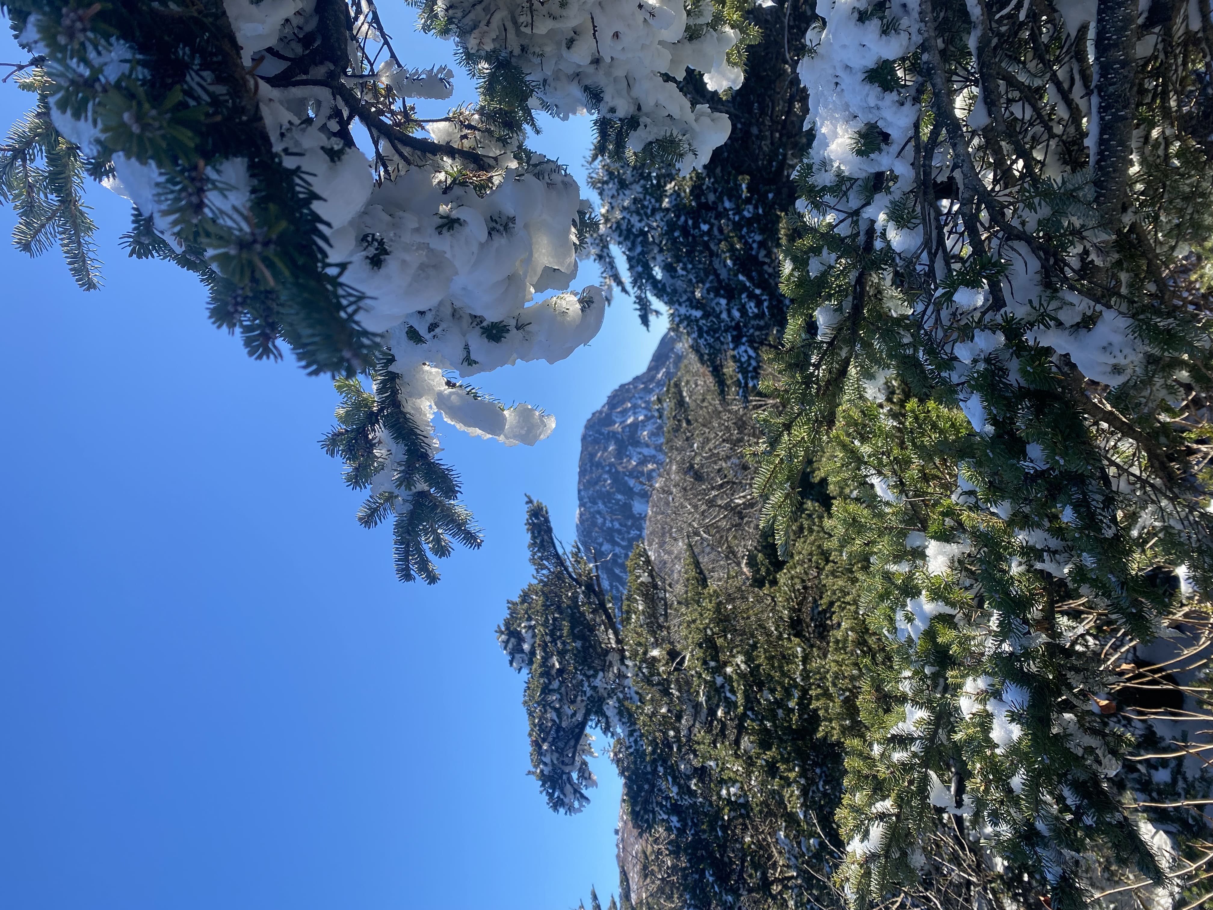 KakaoTalk_20260207_234605967