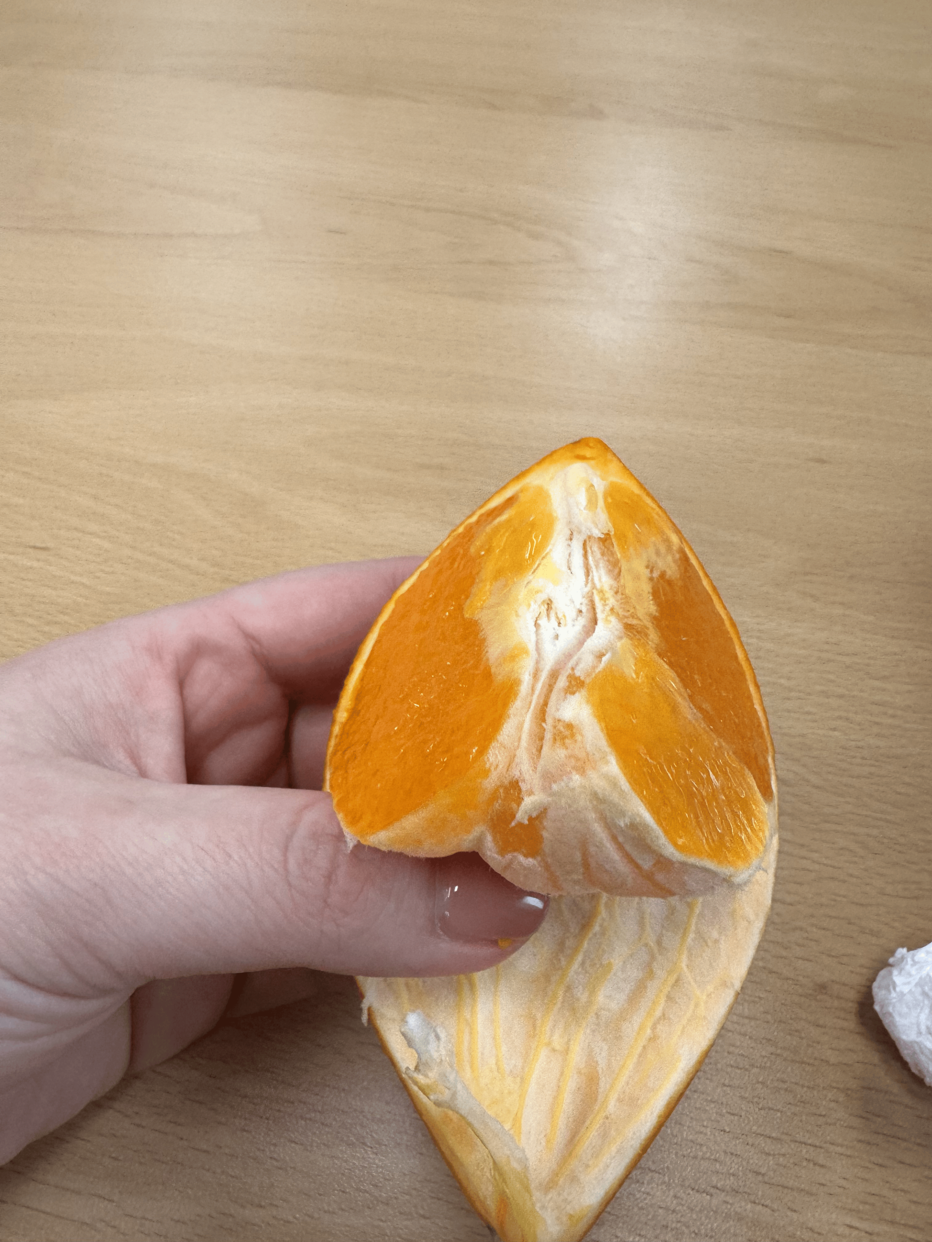 KakaoTalk_20260206_212824430