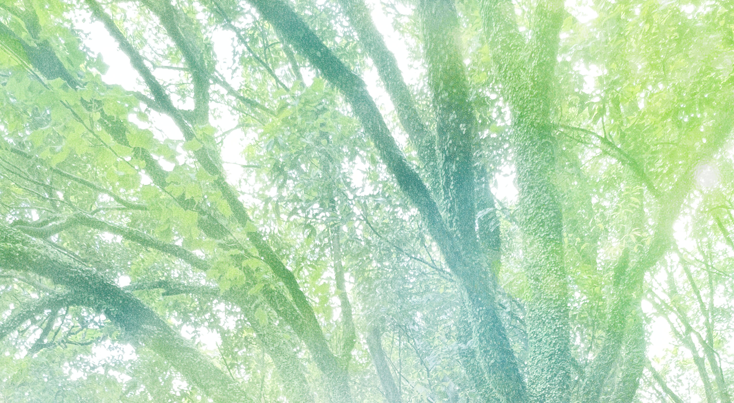 환상숲01