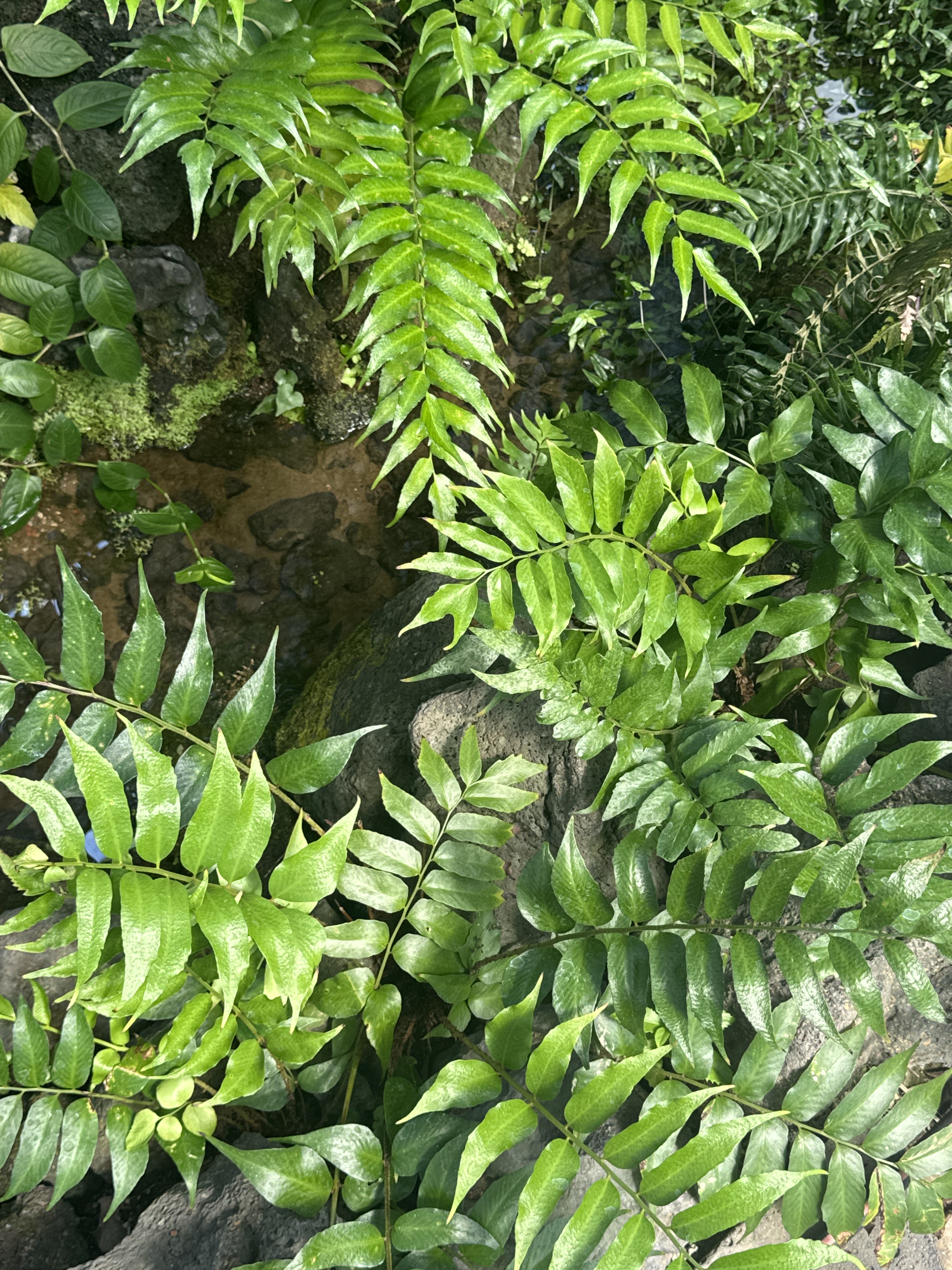 00 앞표지