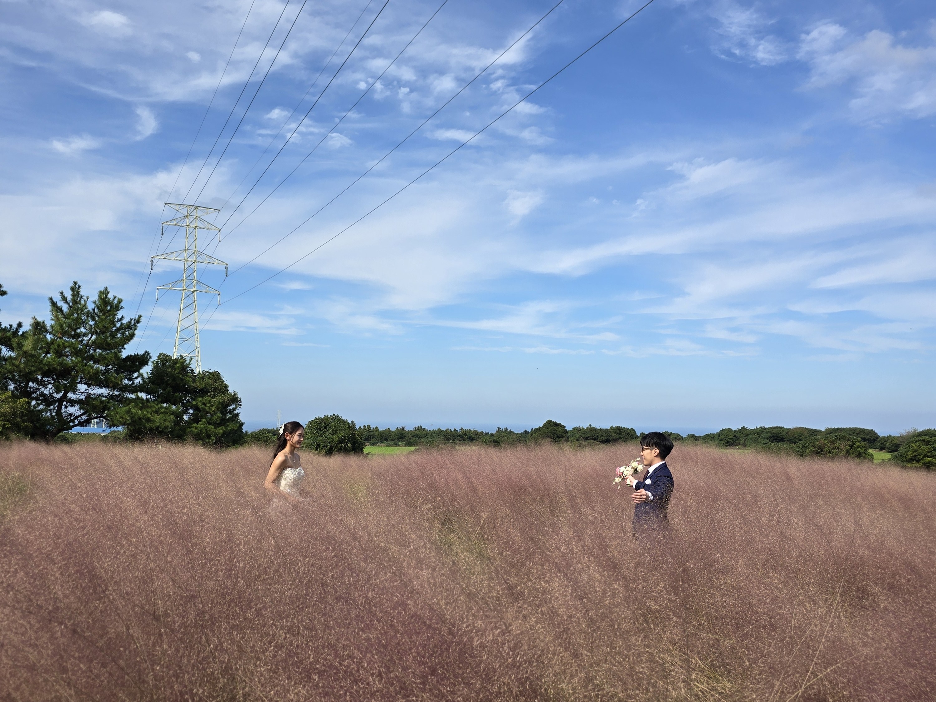 20241030_132700_핑크뮬리웨딩사진