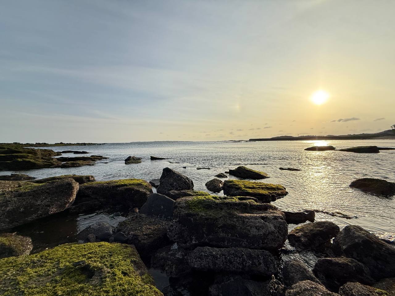 photo_2026-02-08_11-52-59