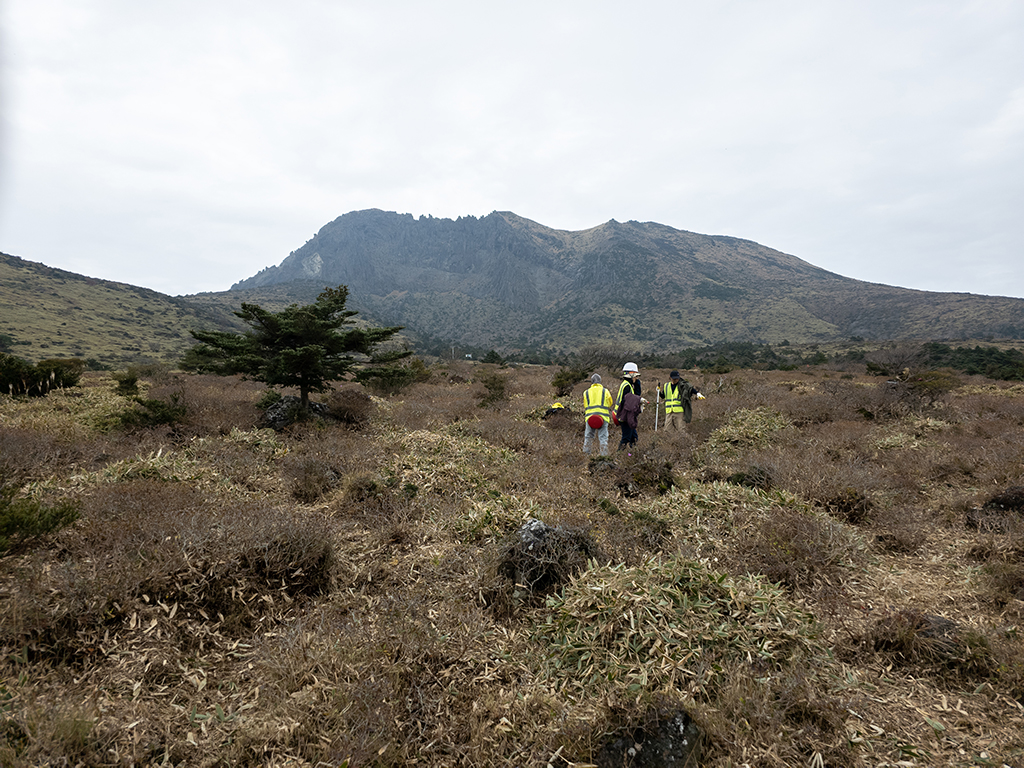 20241028_121946 복사